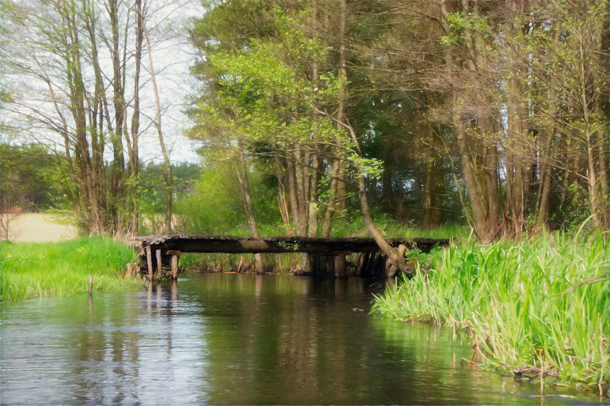 Sony Alpha DSLR-A450 sample photo. A bridge like it proudly sounds photography