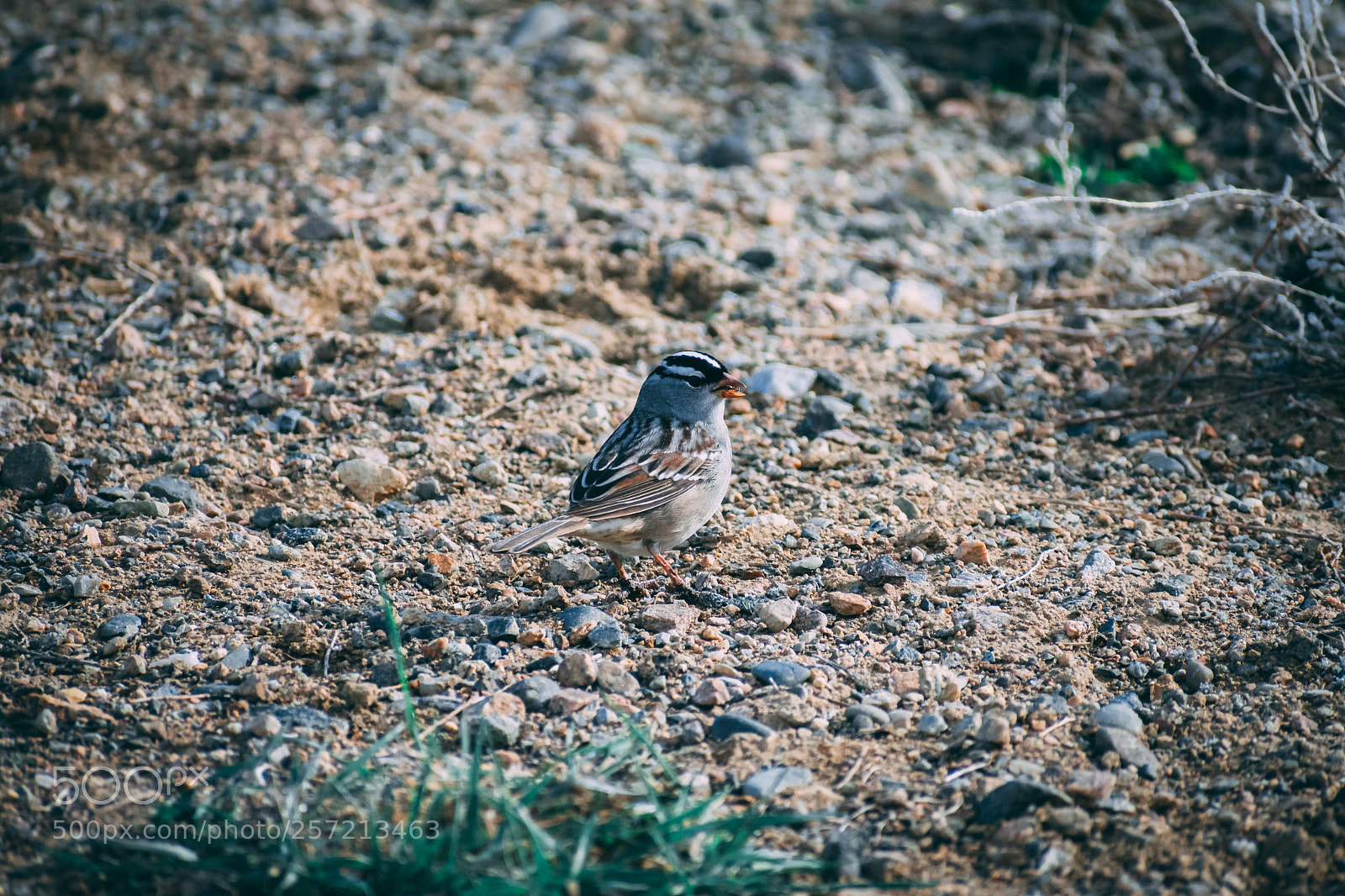 Nikon D3400 sample photo. Dsc photography