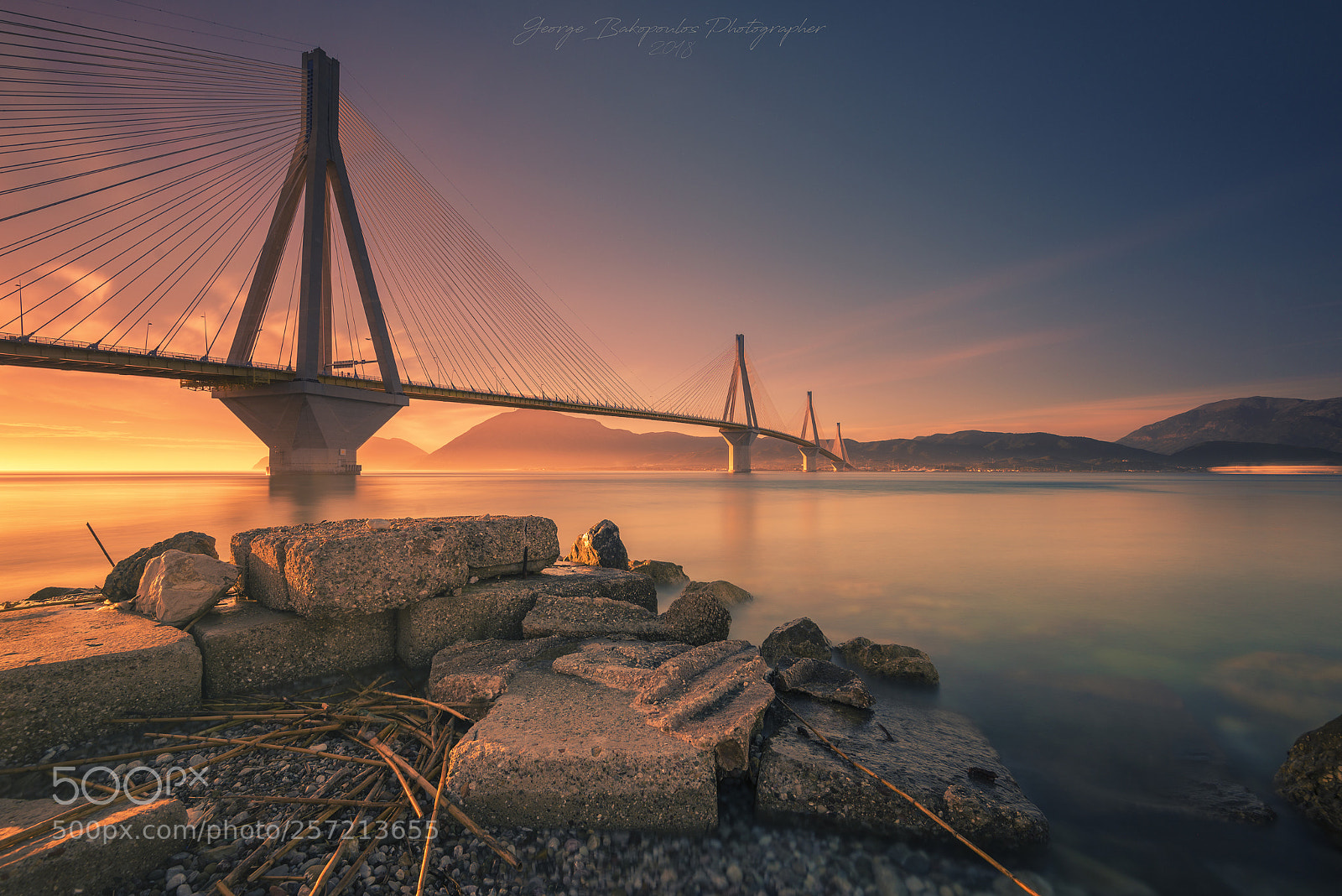 Nikon D600 sample photo. Bridge photography
