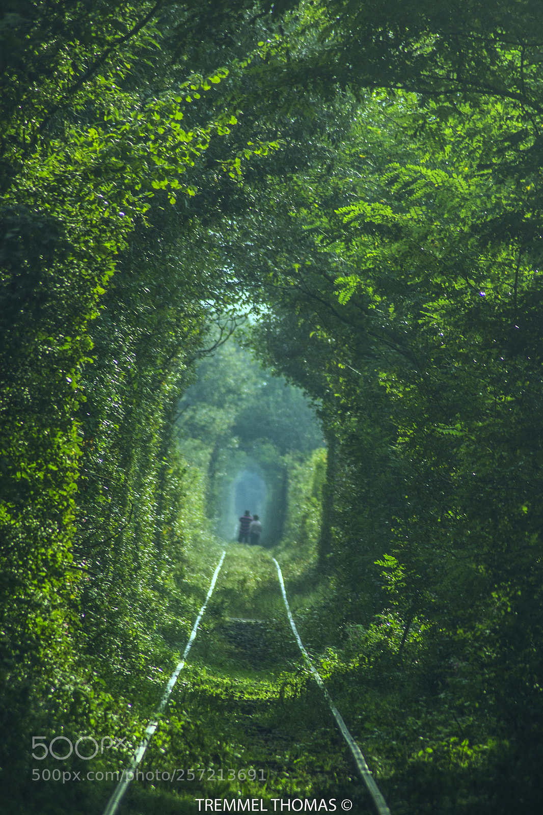 Nikon D3100 sample photo. Tunnel love photography