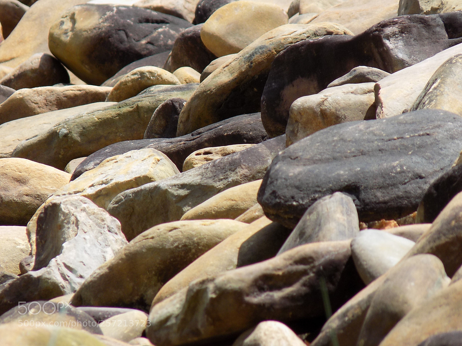 Nikon COOLPIX L330 sample photo. Rock along the river photography