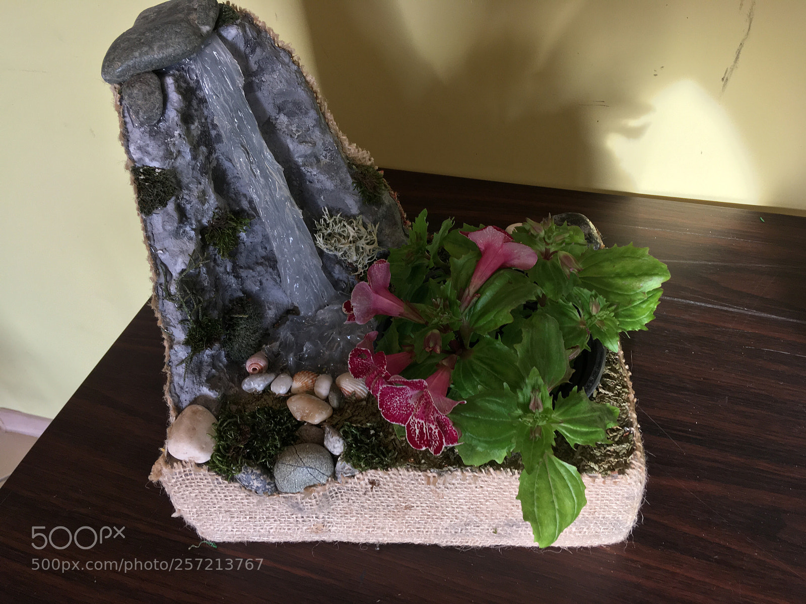 Apple iPhone SE sample photo. Natureallity waterfall with flowerpot! photography