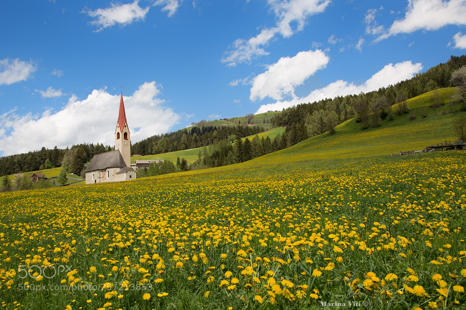 Canon EOS 6D sample photo. Yellow spring photography