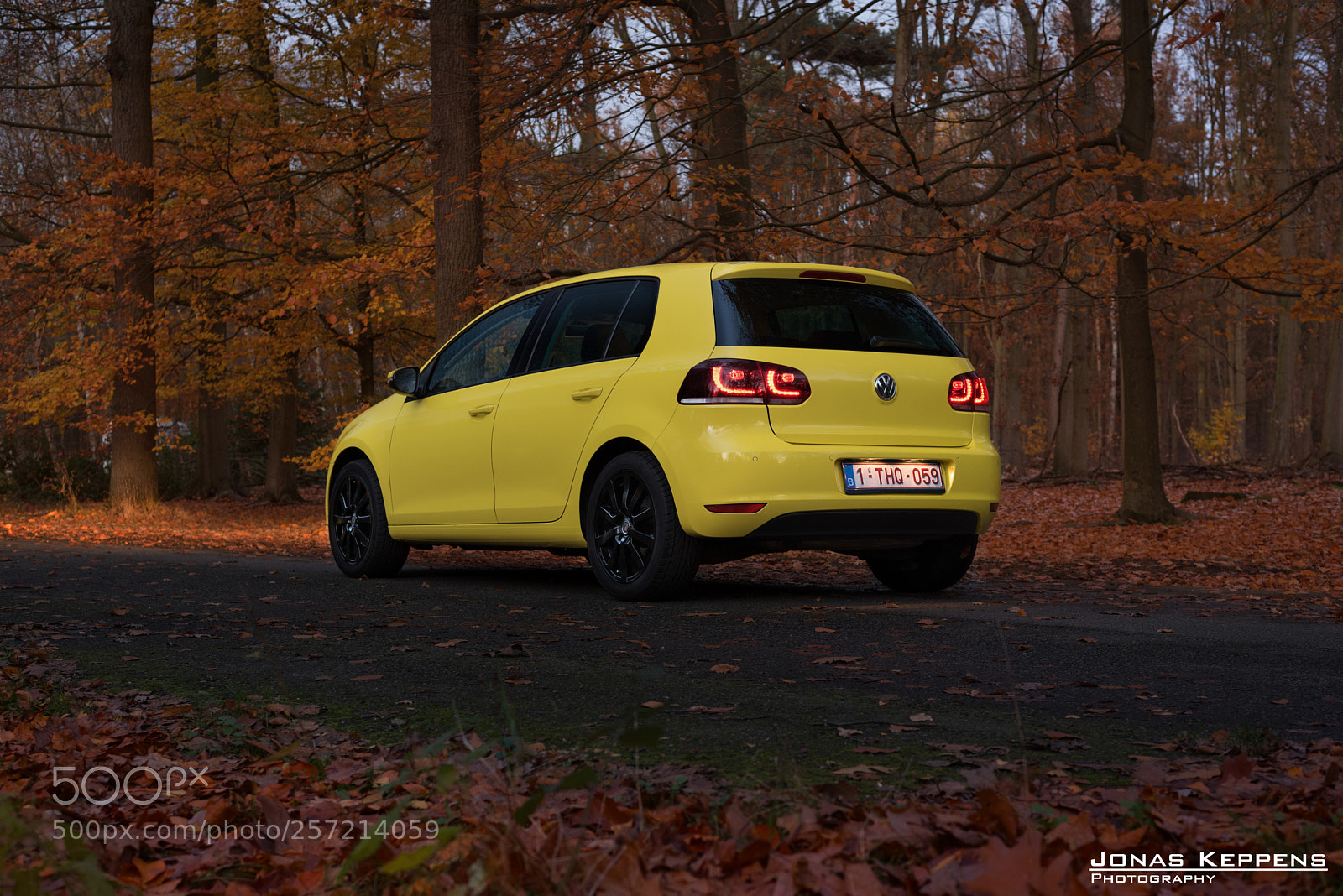 Nikon D750 sample photo. Lemon photography