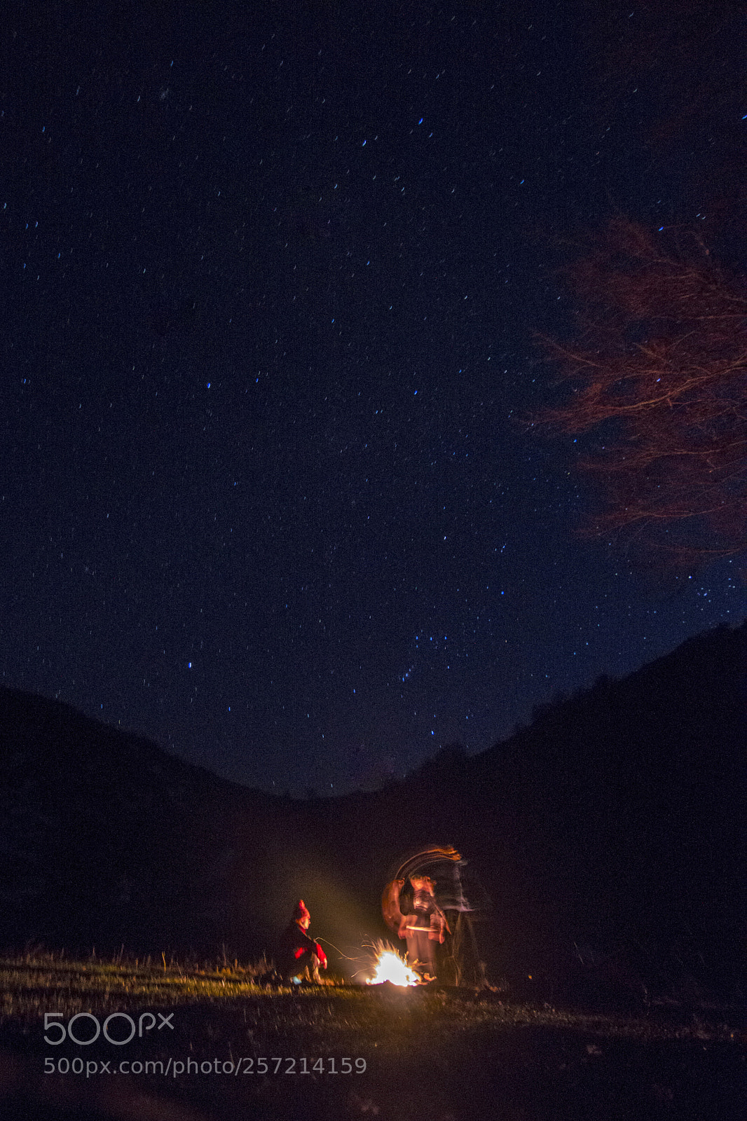Nikon D3200 sample photo. Waiting photography