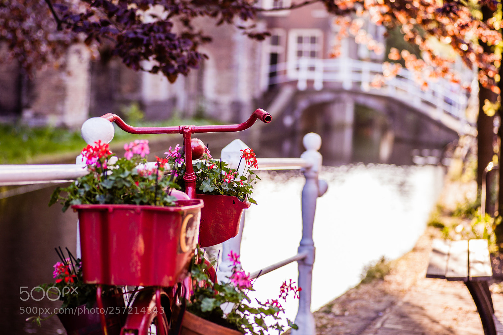 Canon EOS 5D Mark II sample photo. Img photography