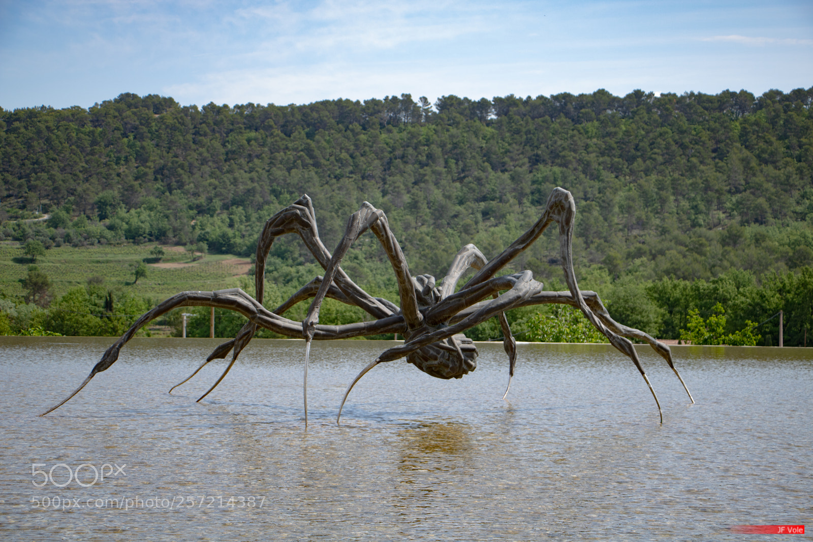 Canon EOS 760D (EOS Rebel T6s / EOS 8000D) sample photo. Crouching spider 6695 103 photography