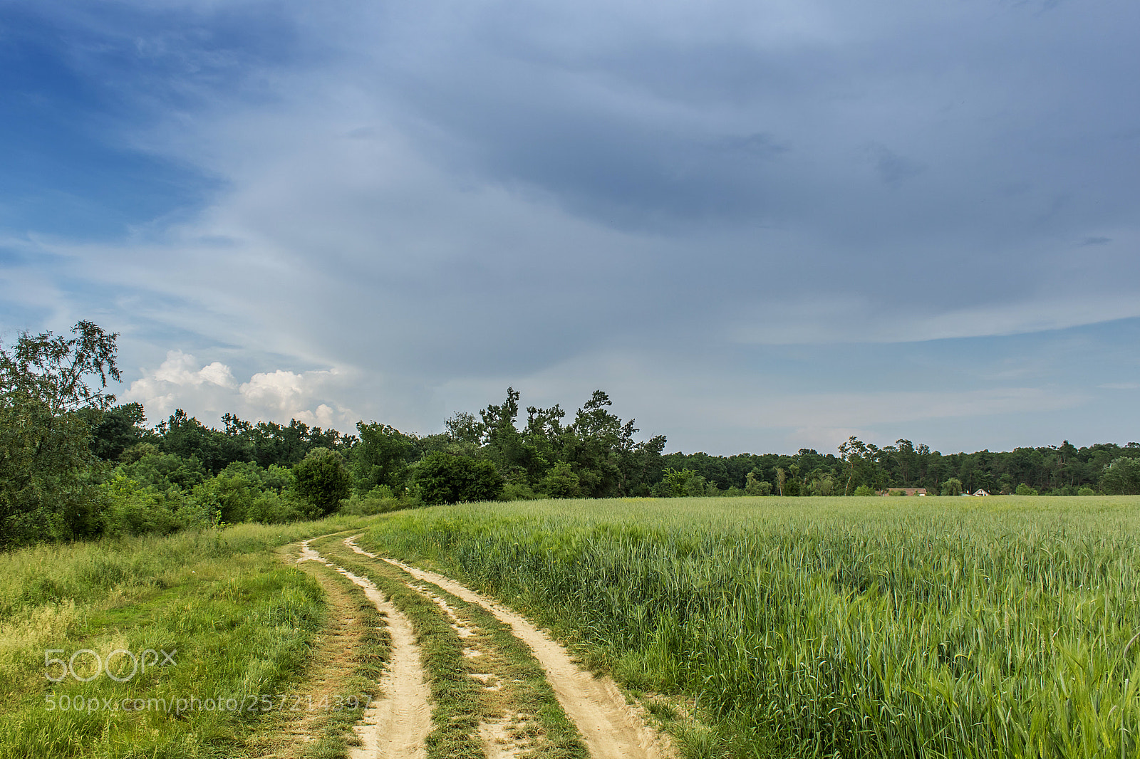 Canon EOS 750D (EOS Rebel T6i / EOS Kiss X8i) sample photo. Spring paths photography