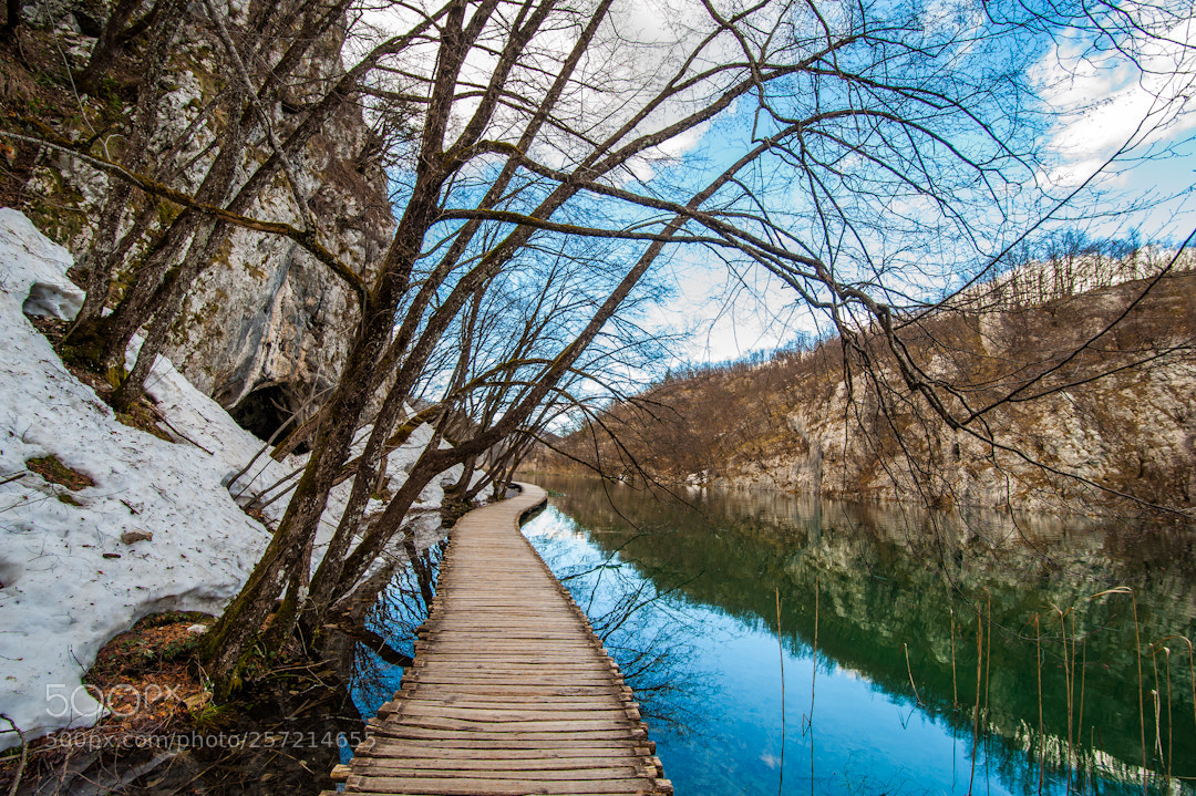 Nikon D3 sample photo. Lost photography