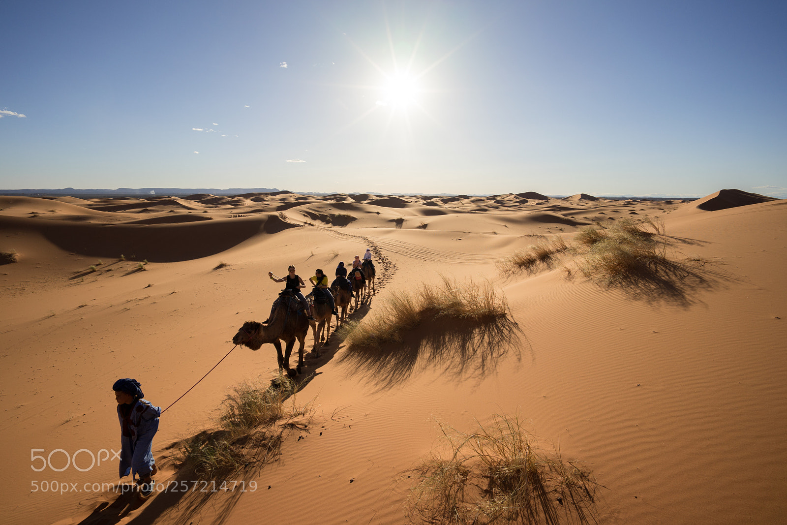 Sony a7 II sample photo. Camel riding in the photography