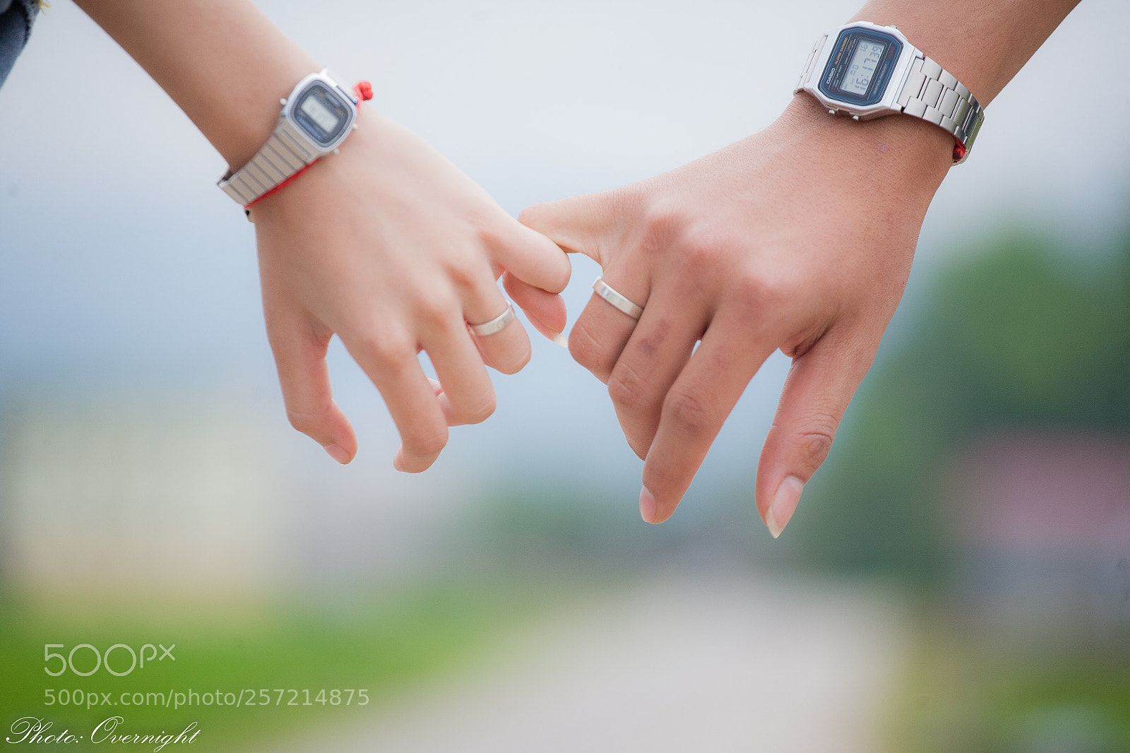 Canon EOS 5D sample photo. Untitled photography
