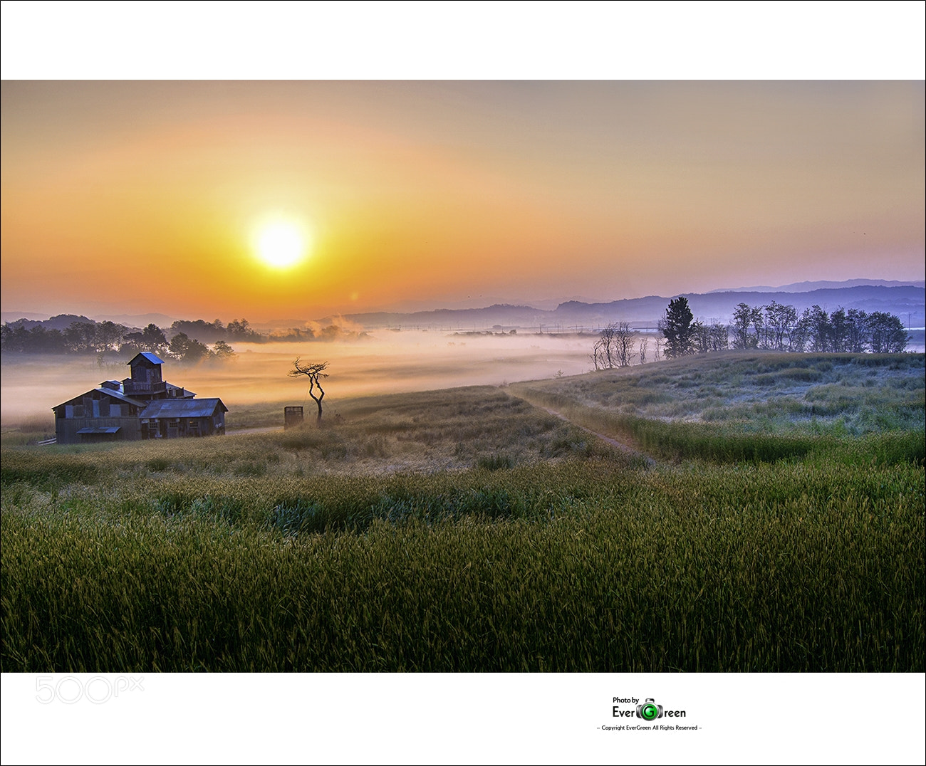 Nikon D7100 sample photo. 새벽의 안성목장 photography