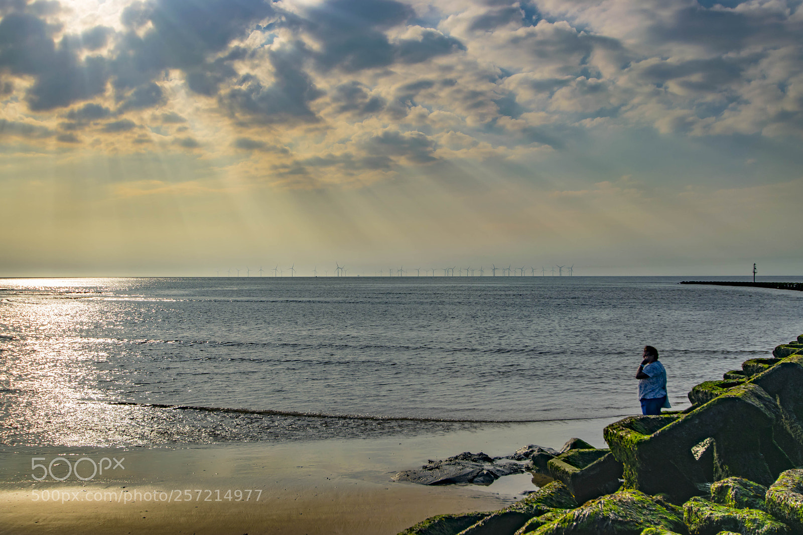 Nikon D3300 sample photo. Waiting for the sunset photography