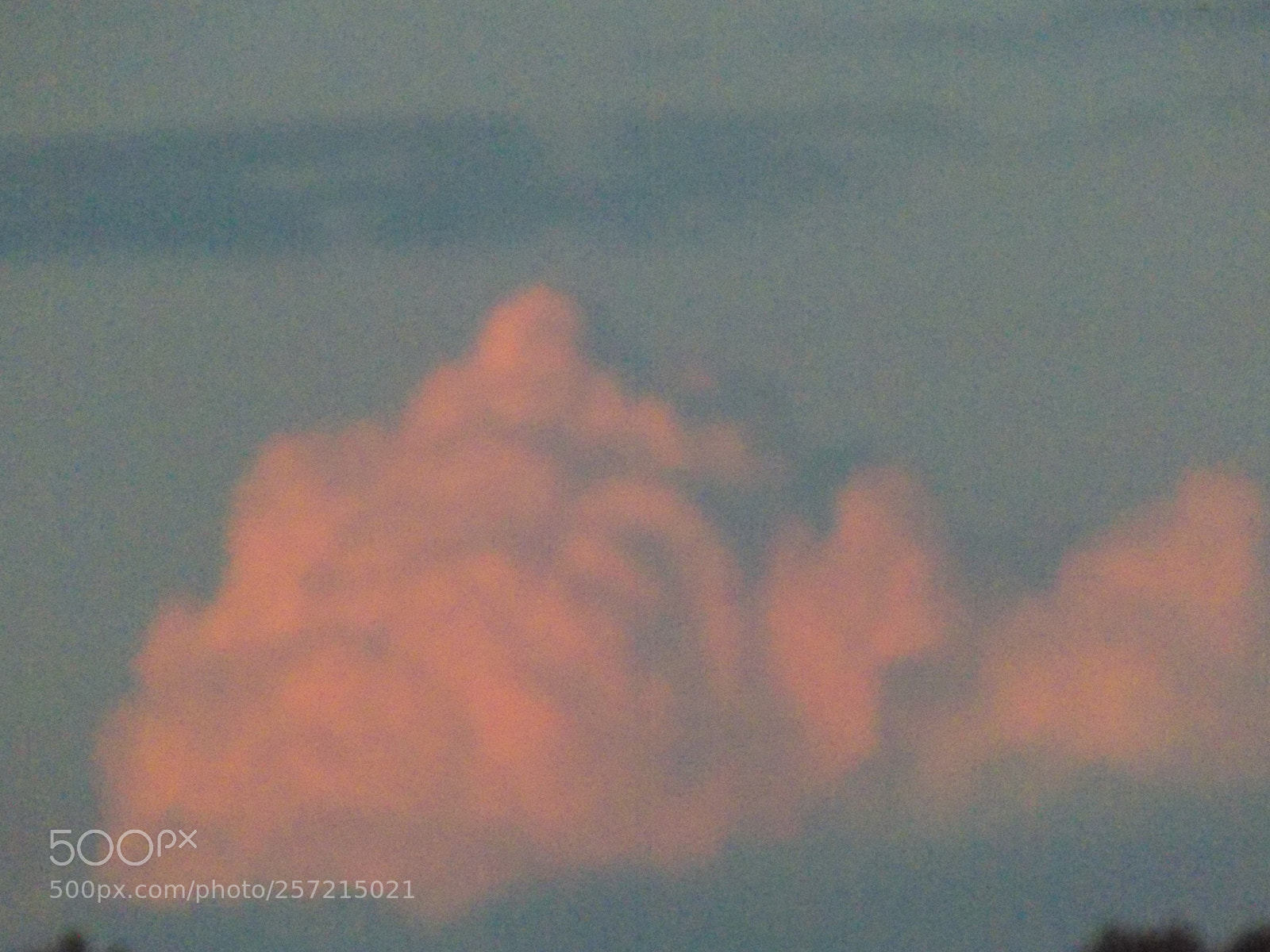 Nikon COOLPIX L330 sample photo. Pink cotton candy clouds photography