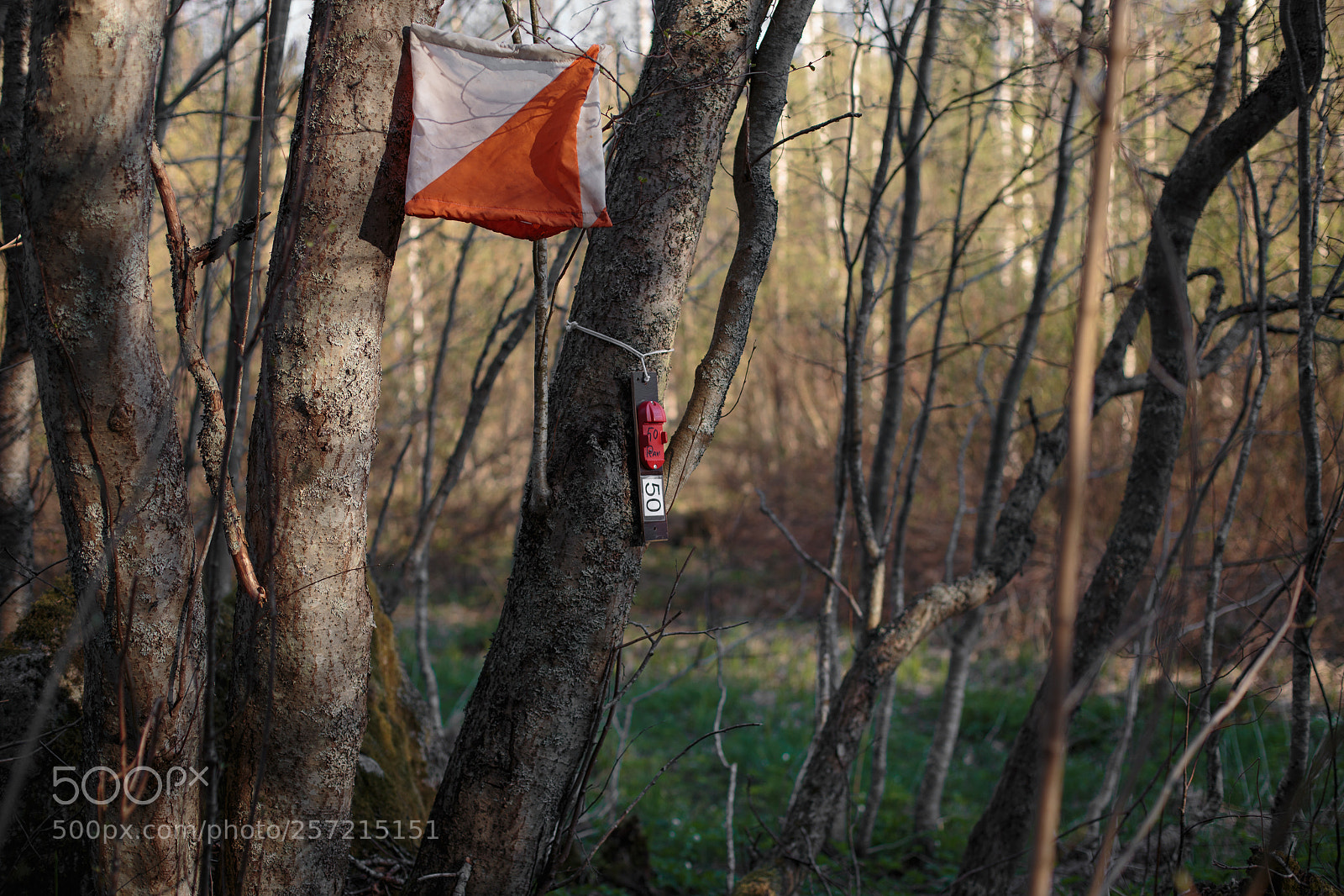 Canon EOS 6D sample photo. Orienteering photography