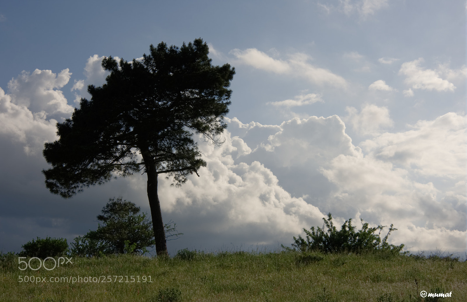 Nikon D7200 sample photo. Nubi all'orizzonte photography