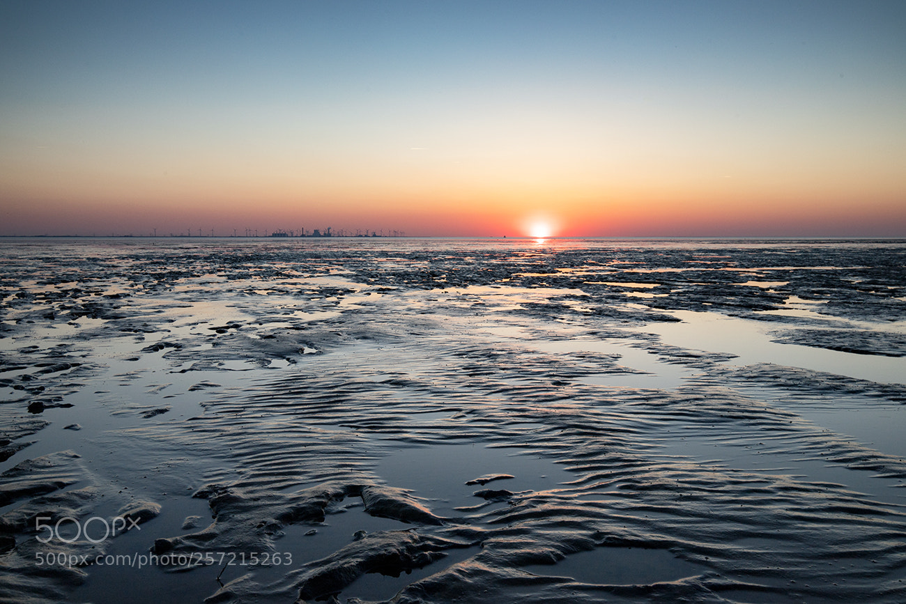 Canon EOS 6D Mark II sample photo. Ebbe photography