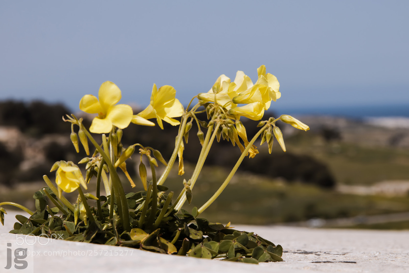 Canon EOS 77D (EOS 9000D / EOS 770D) sample photo. Qarsu on the bastions photography