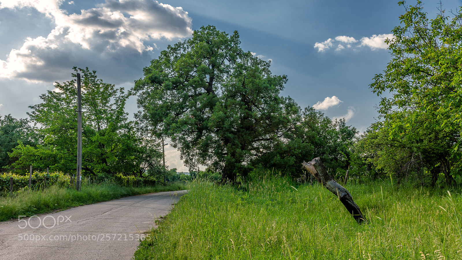 Nikon D7200 sample photo. Withstanding the time photography