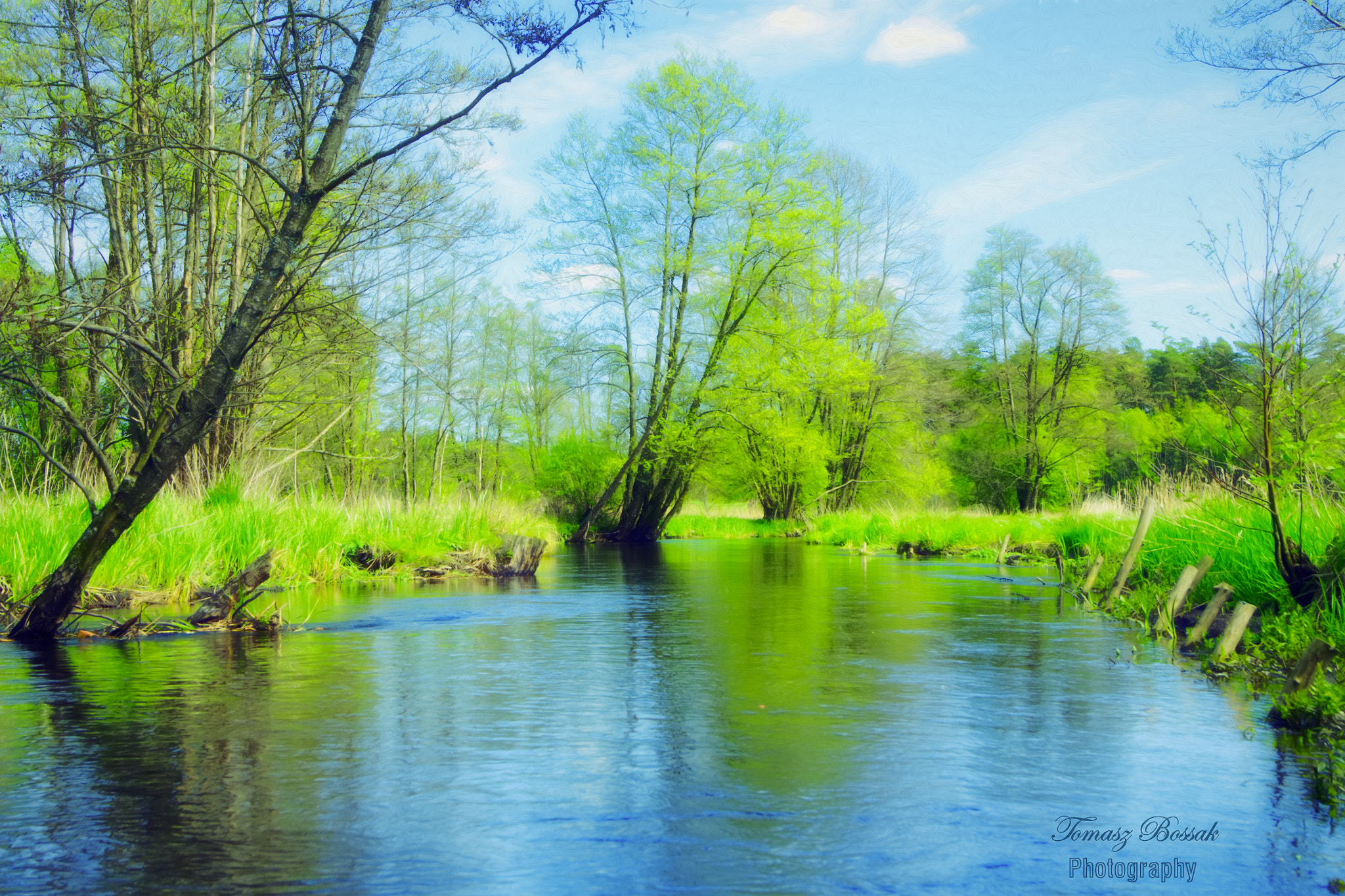 Sony Alpha DSLR-A450 sample photo. River photography