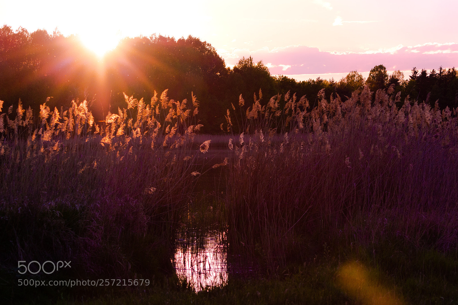 Canon EOS 100D (EOS Rebel SL1 / EOS Kiss X7) sample photo. Sunset lake photography