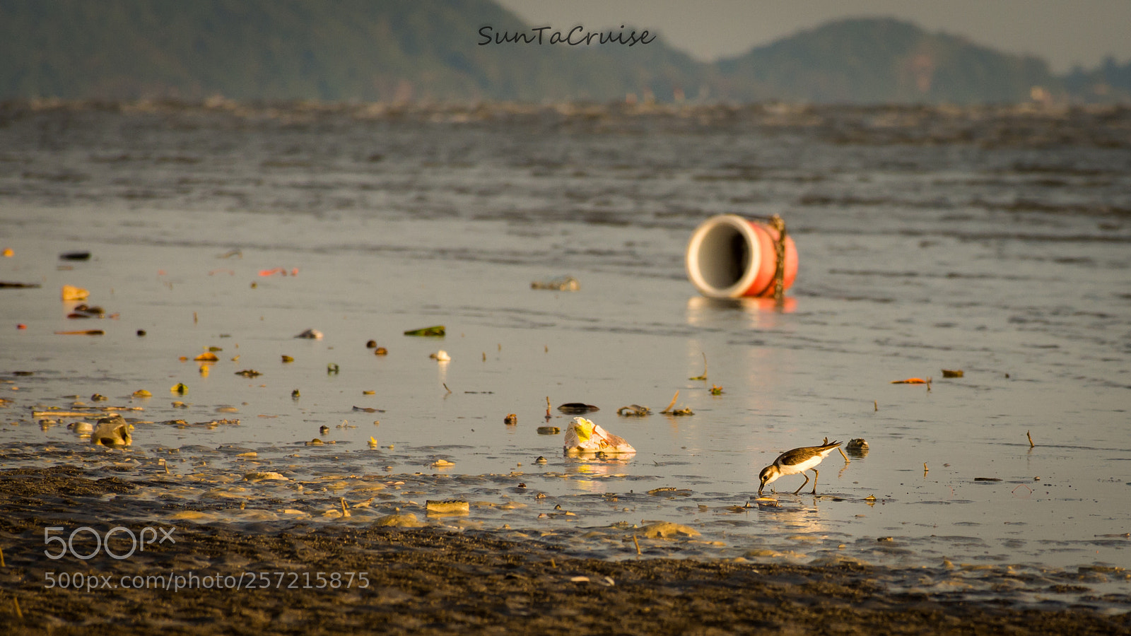 Nikon D7200 sample photo. Something on the beach. photography