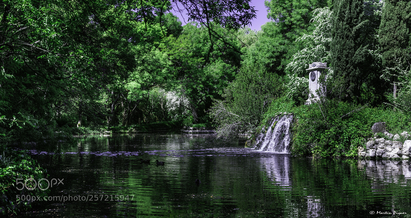 Canon EOS 6D sample photo. The pond of el photography