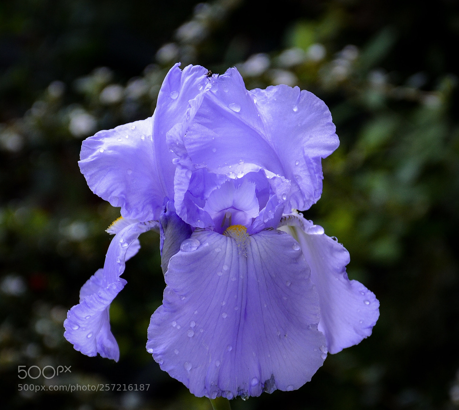 Nikon D7000 sample photo. Fresh photography