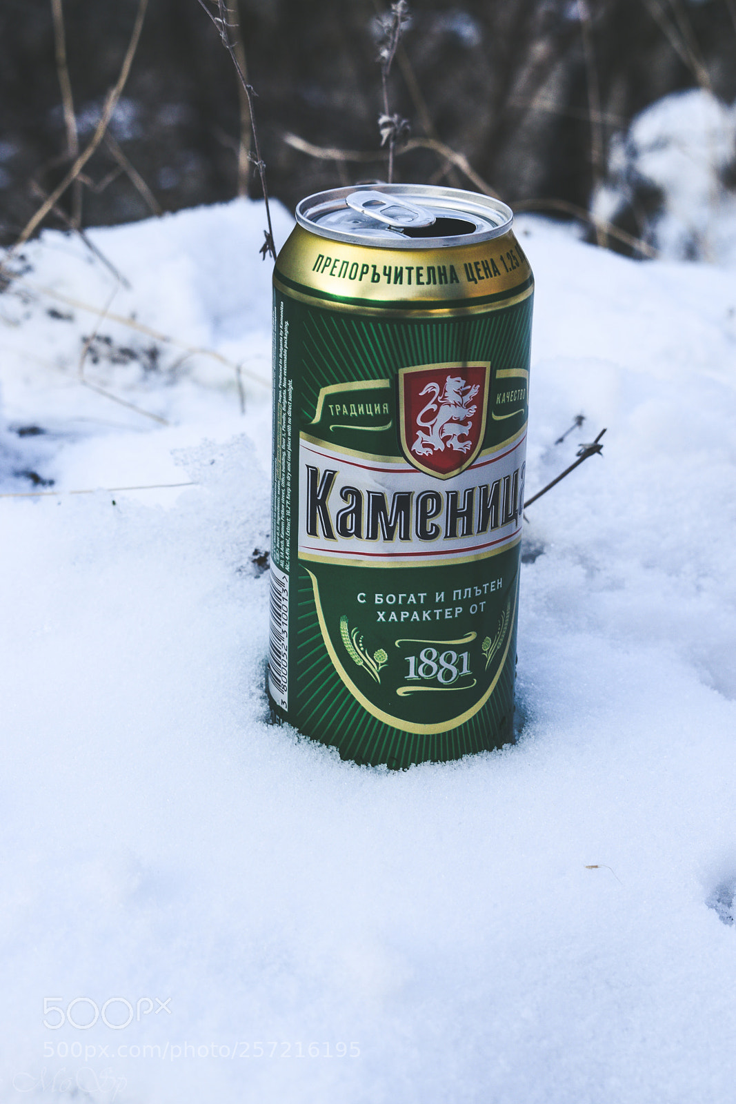 Nikon D3300 sample photo. Beer photography