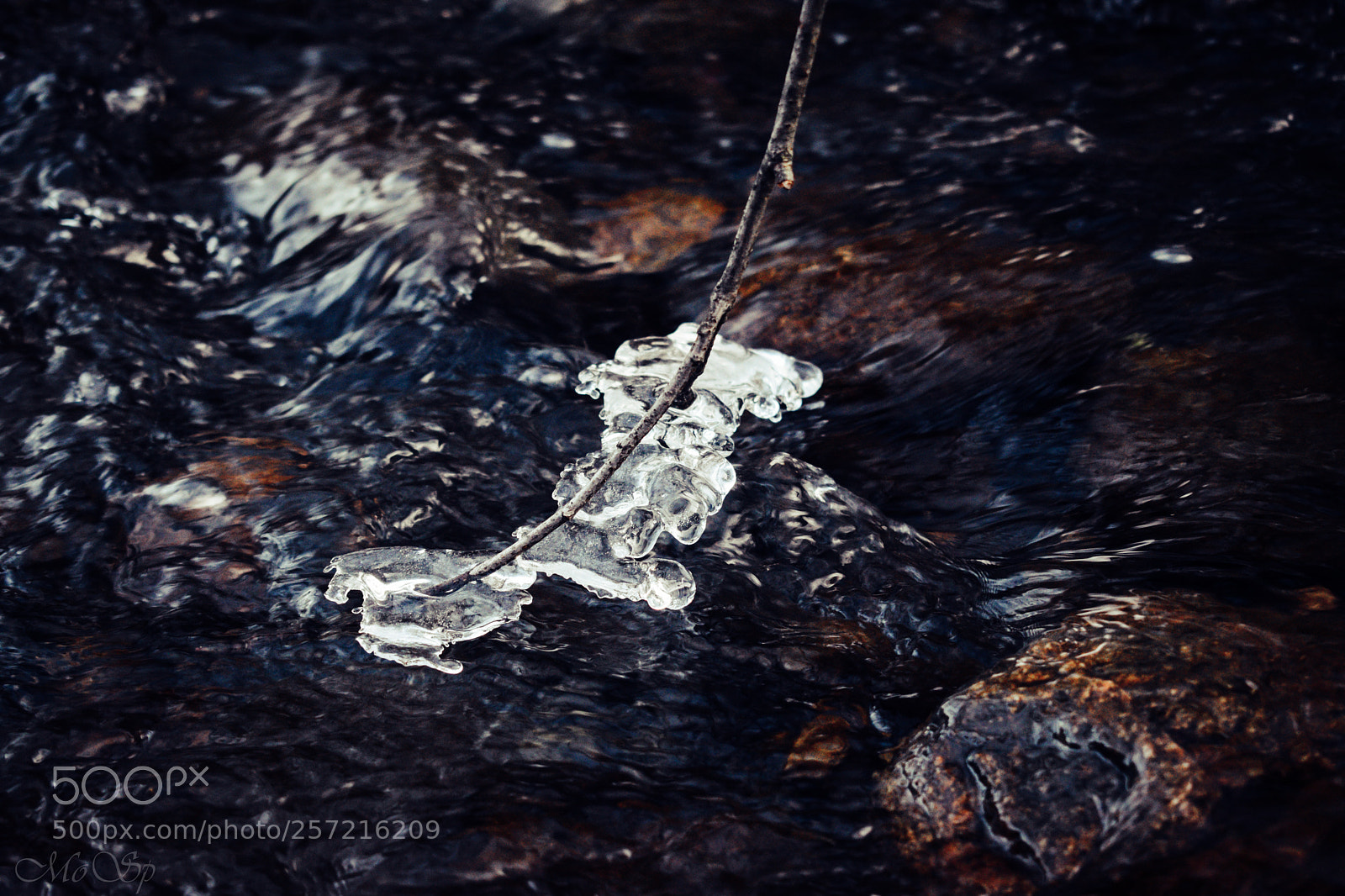 Nikon D3300 sample photo. Ice photography