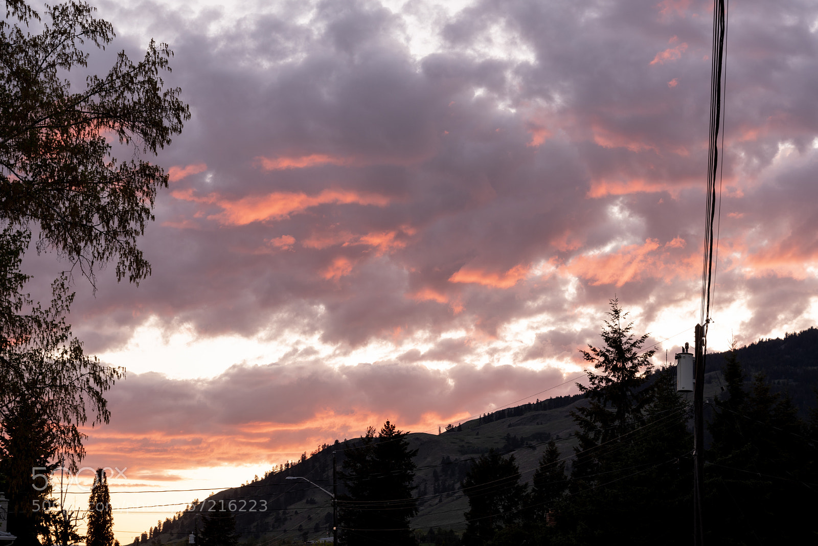 Nikon D750 sample photo. Coldstream sunset photography