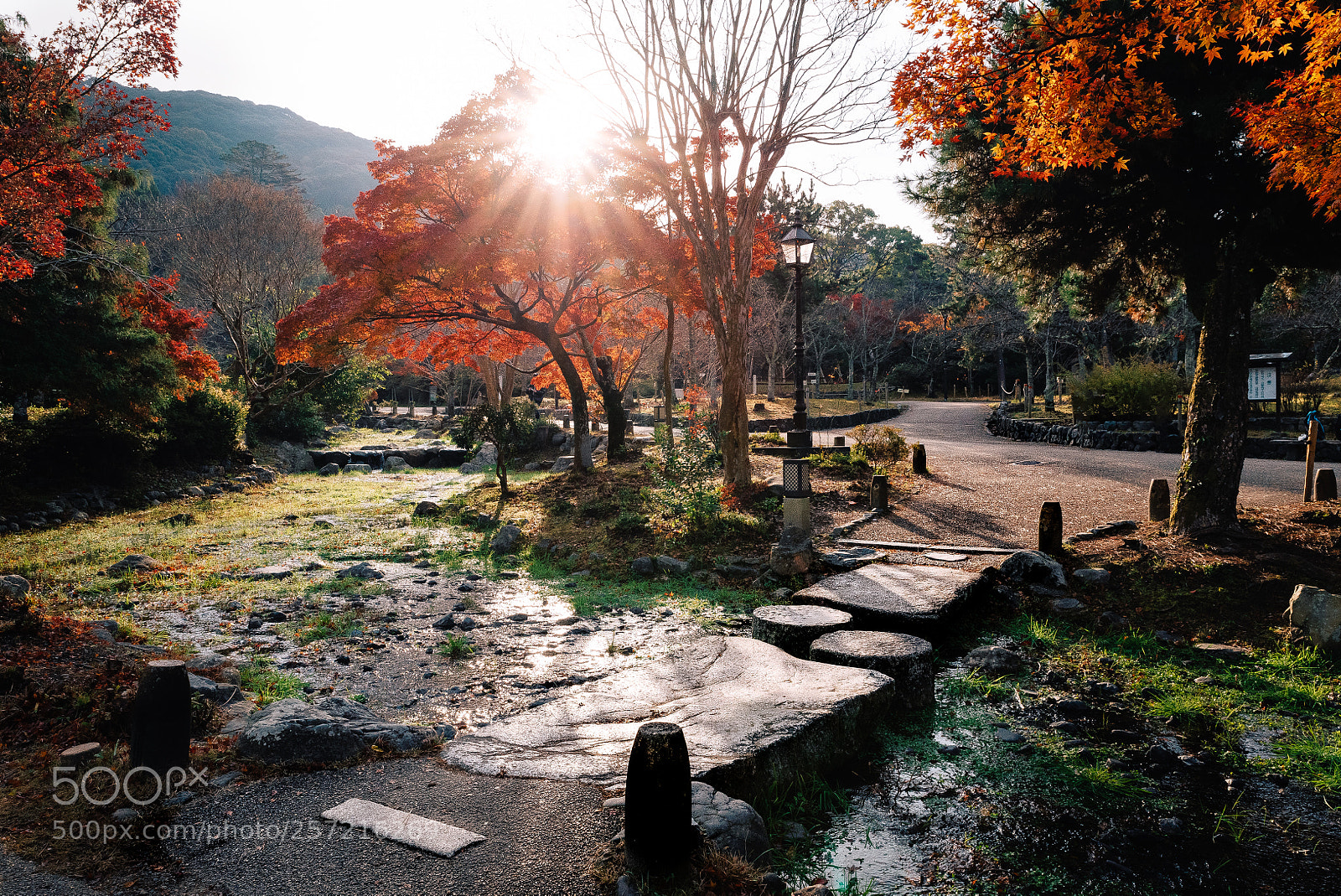 Nikon D750 sample photo. Japonpaysage photography