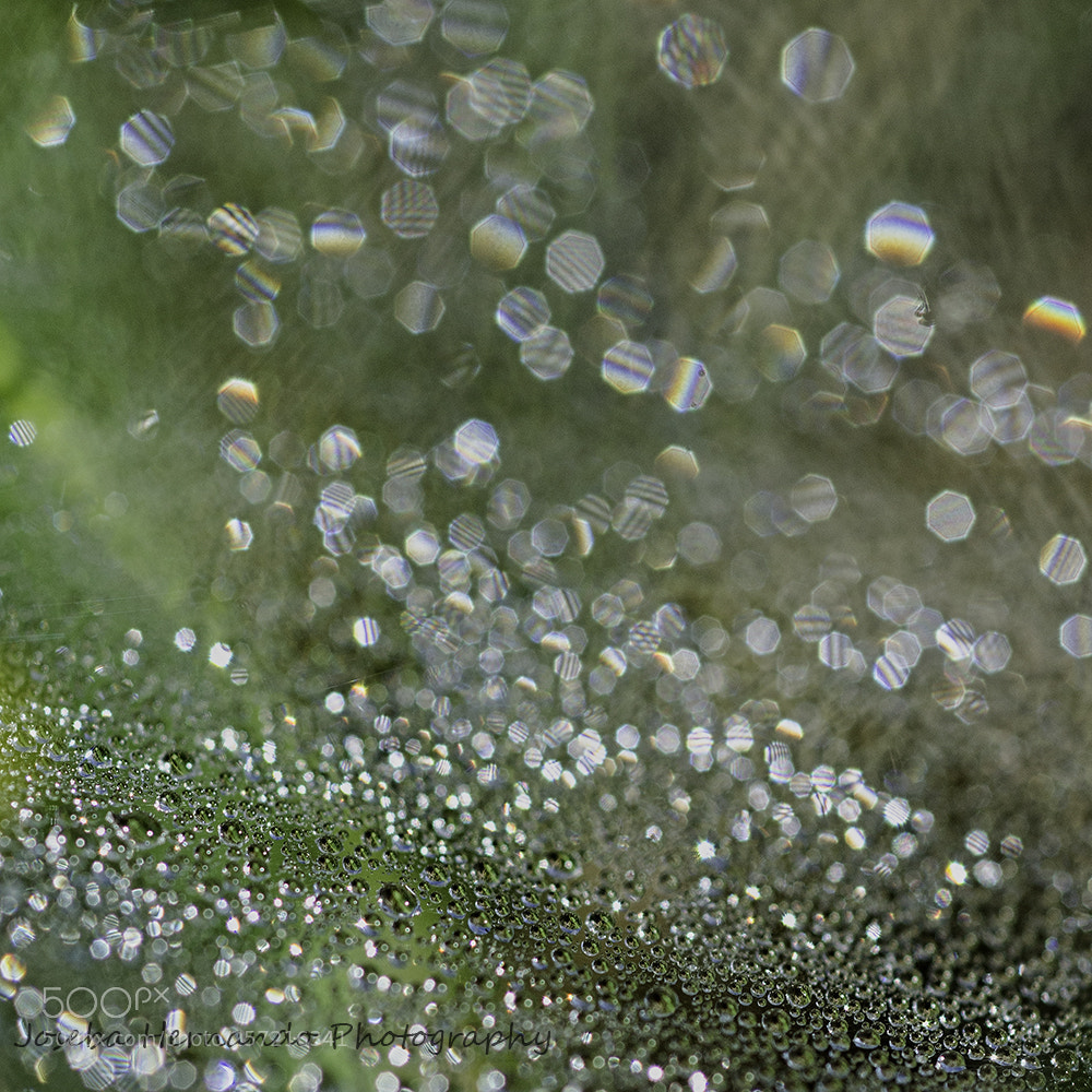 Nikon D7000 sample photo. Bokeh water photography