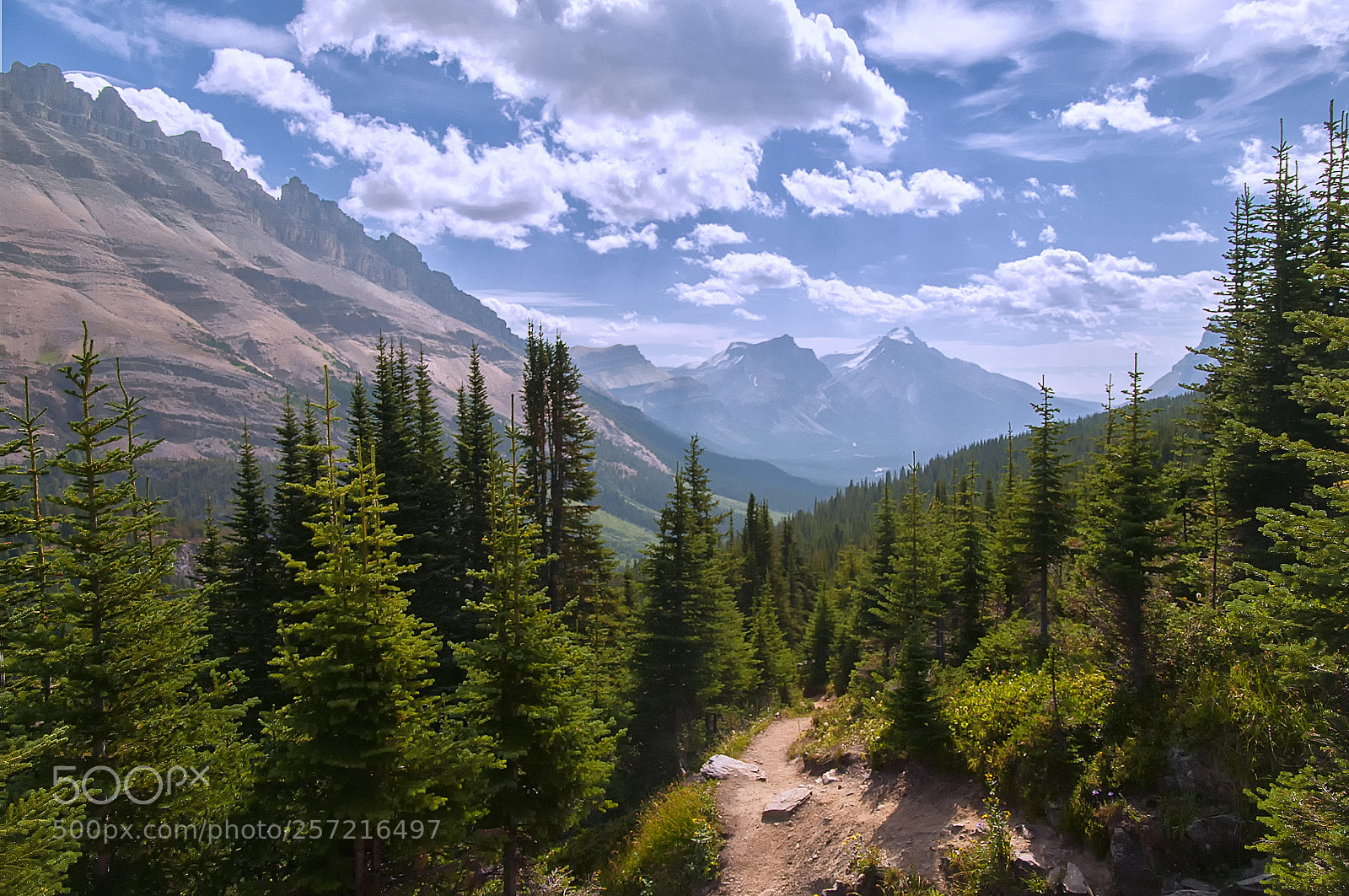 Nikon D300 sample photo. Rocky mountains photography