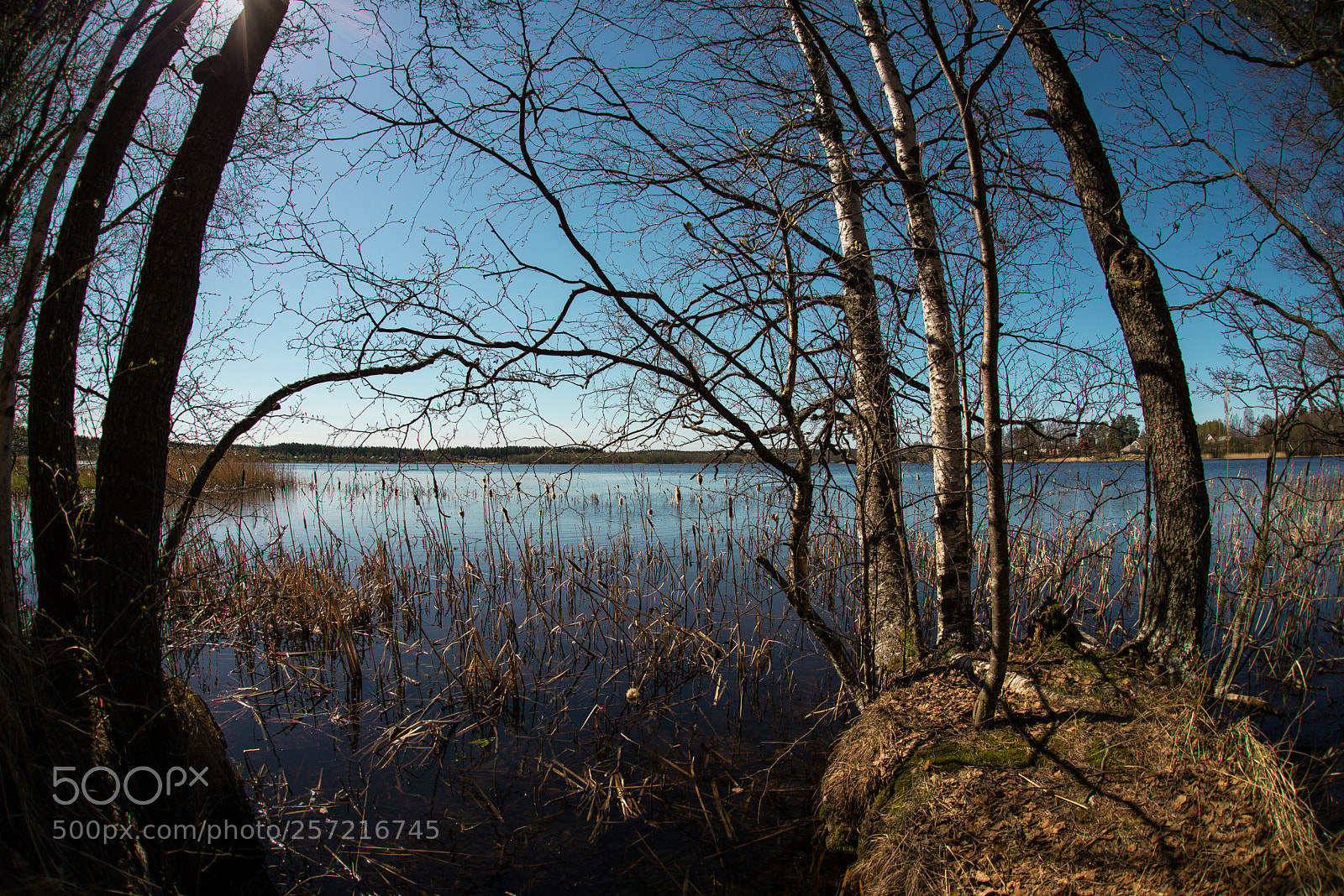 Nikon D610 sample photo. By the lake photography