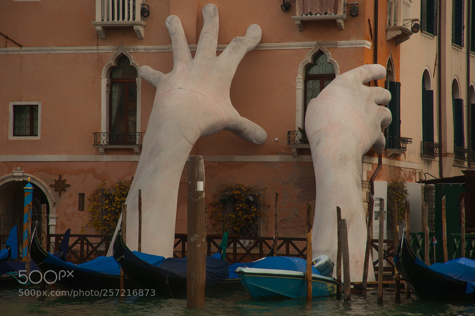 Nikon D700 sample photo. Let's save venice photography