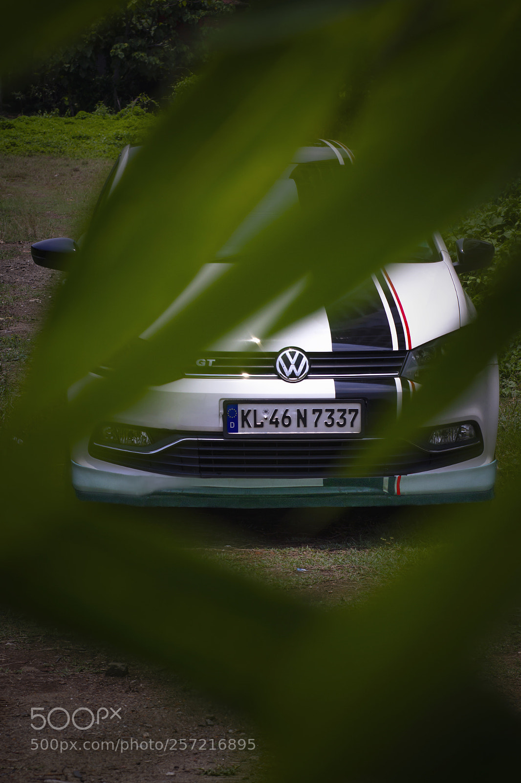 Canon EOS 60D sample photo. Peek'a'boo ! photography
