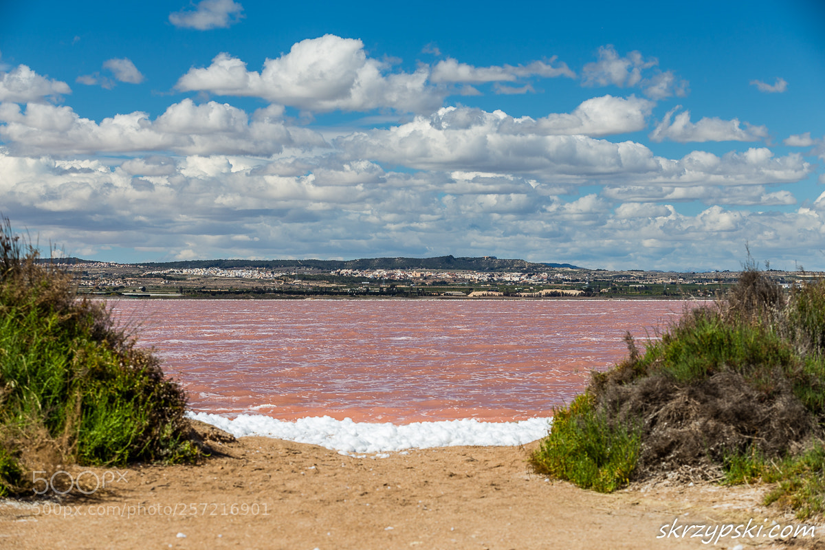 Canon EOS 6D sample photo. Pink lake near to photography