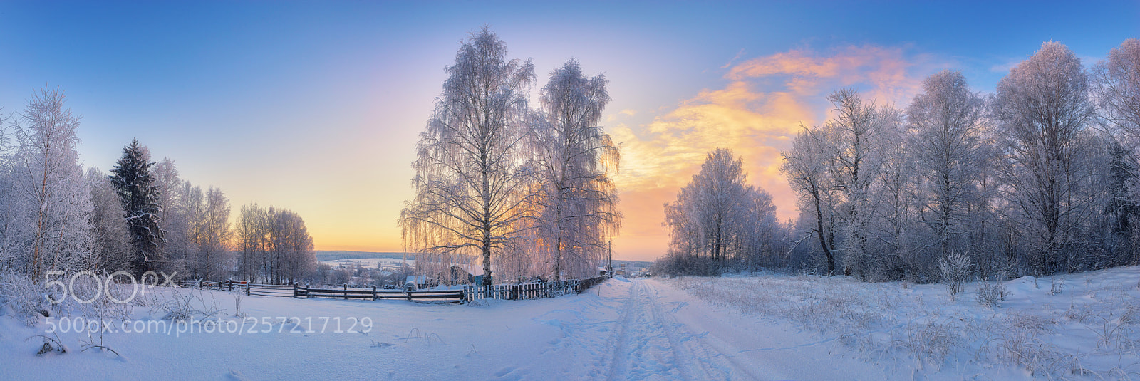 Nikon D610 sample photo. 918. winter in the photography