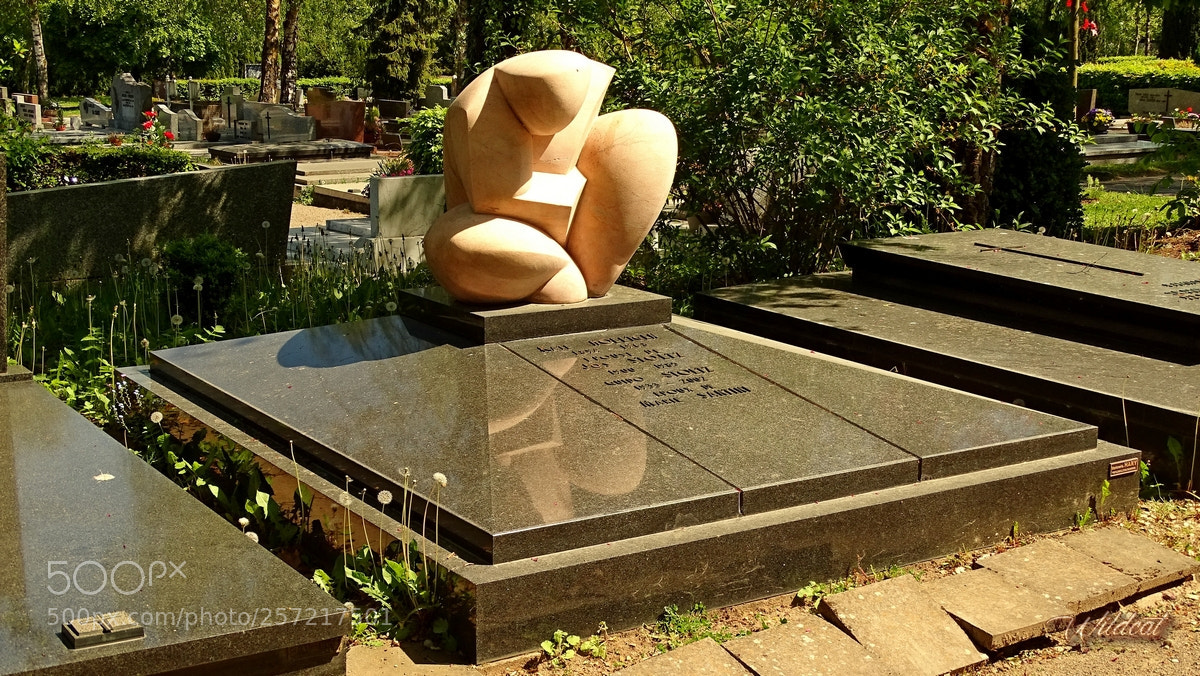 Sony Cyber-shot DSC-HX400V sample photo. Death art photography