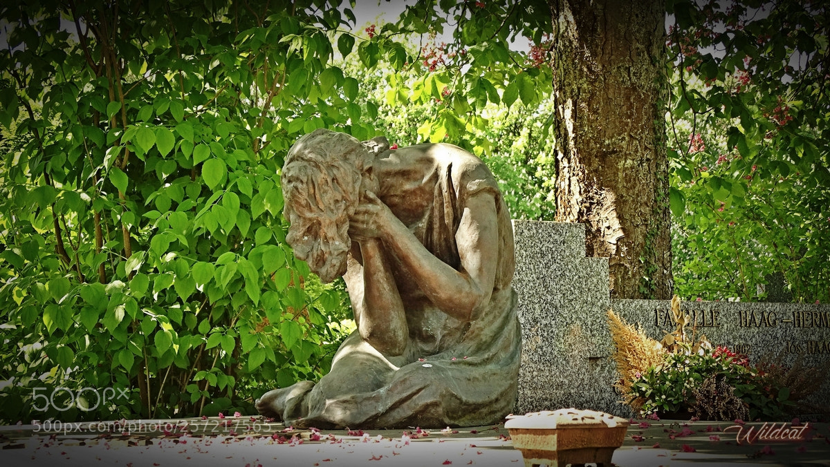 Sony Cyber-shot DSC-HX400V sample photo. Tristesse-mater dolorosa photography
