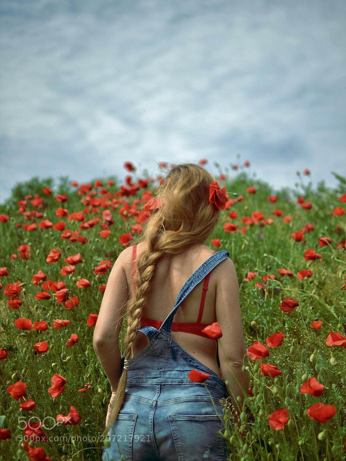 Nikon D3100 sample photo. In poppies photography