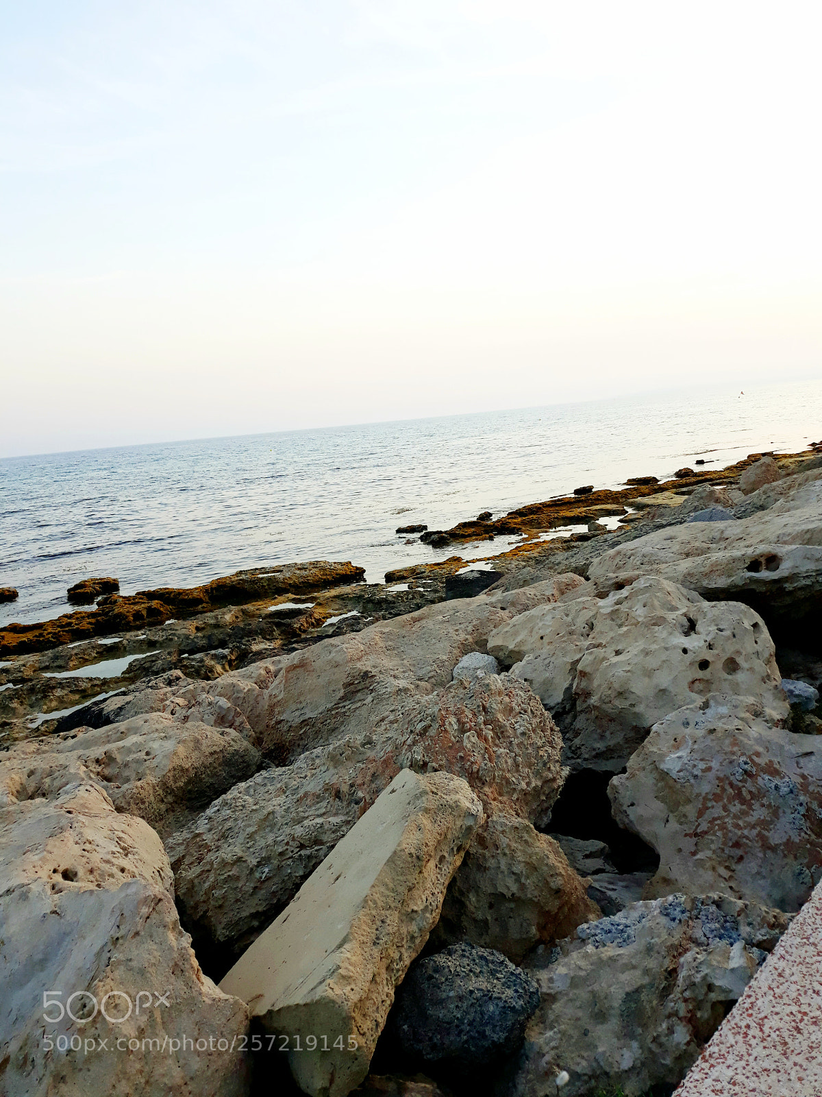 Samsung Galaxy J7 sample photo. Untitled photography