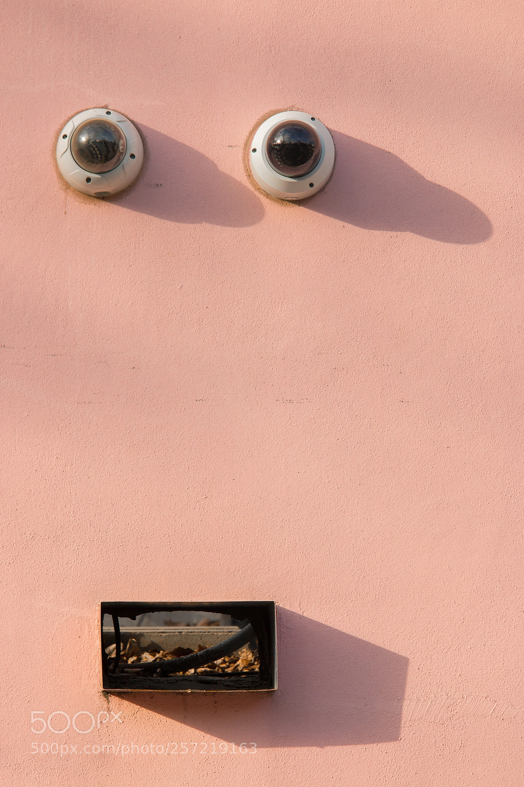 Canon EOS 70D sample photo. Hello photography