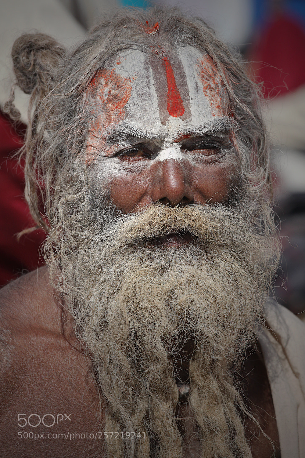 Canon EOS 5D Mark II sample photo. Red and white photography