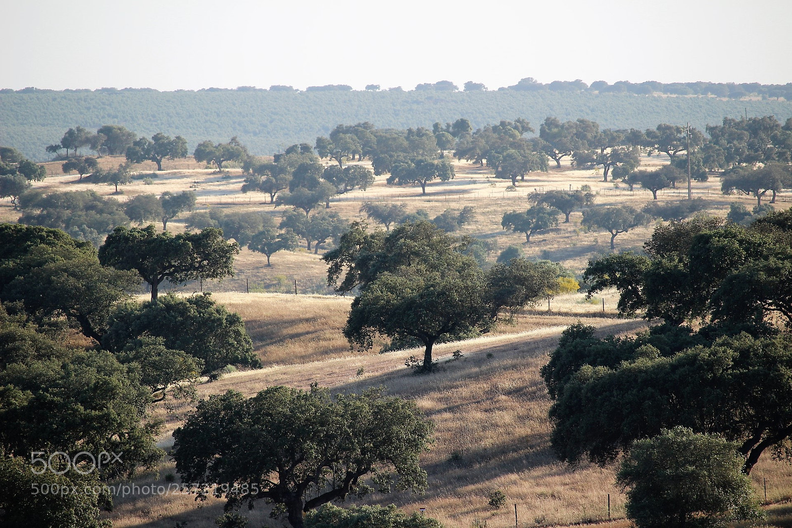 Canon EOS 100D (EOS Rebel SL1 / EOS Kiss X7) sample photo. Alentejo photography