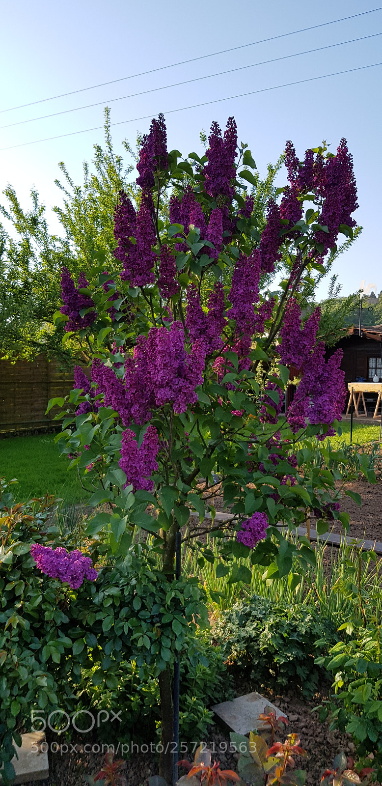 Samsung Galaxy S8 sample photo. Untitled photography