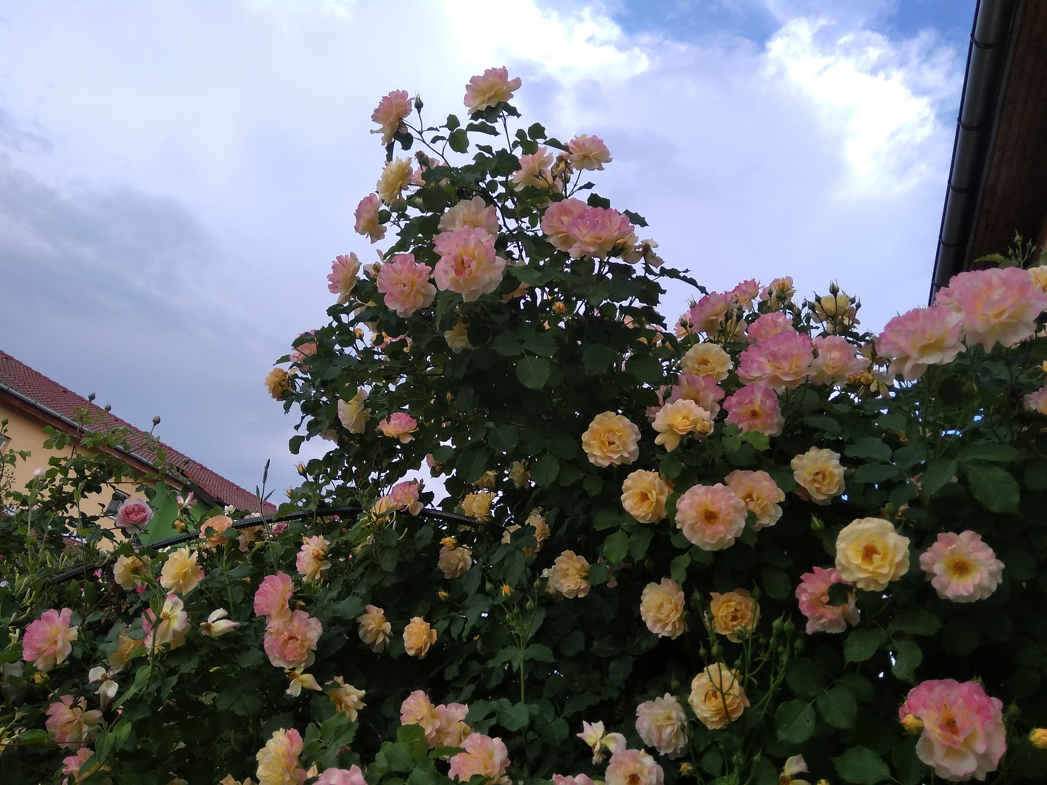 Xiaomi Redmi 5A sample photo. Explosion photography