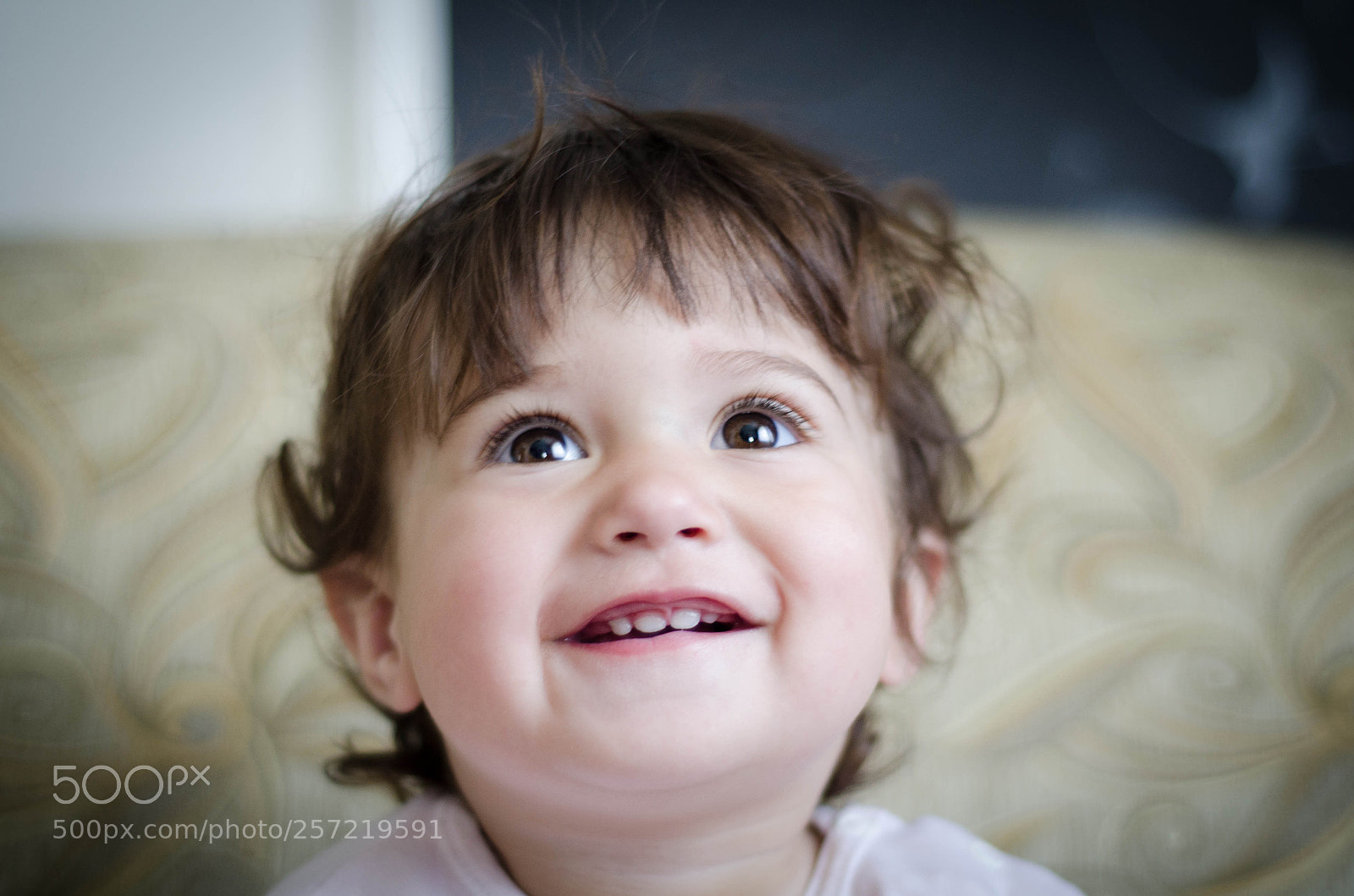 Nikon D7000 sample photo. Untitled photography