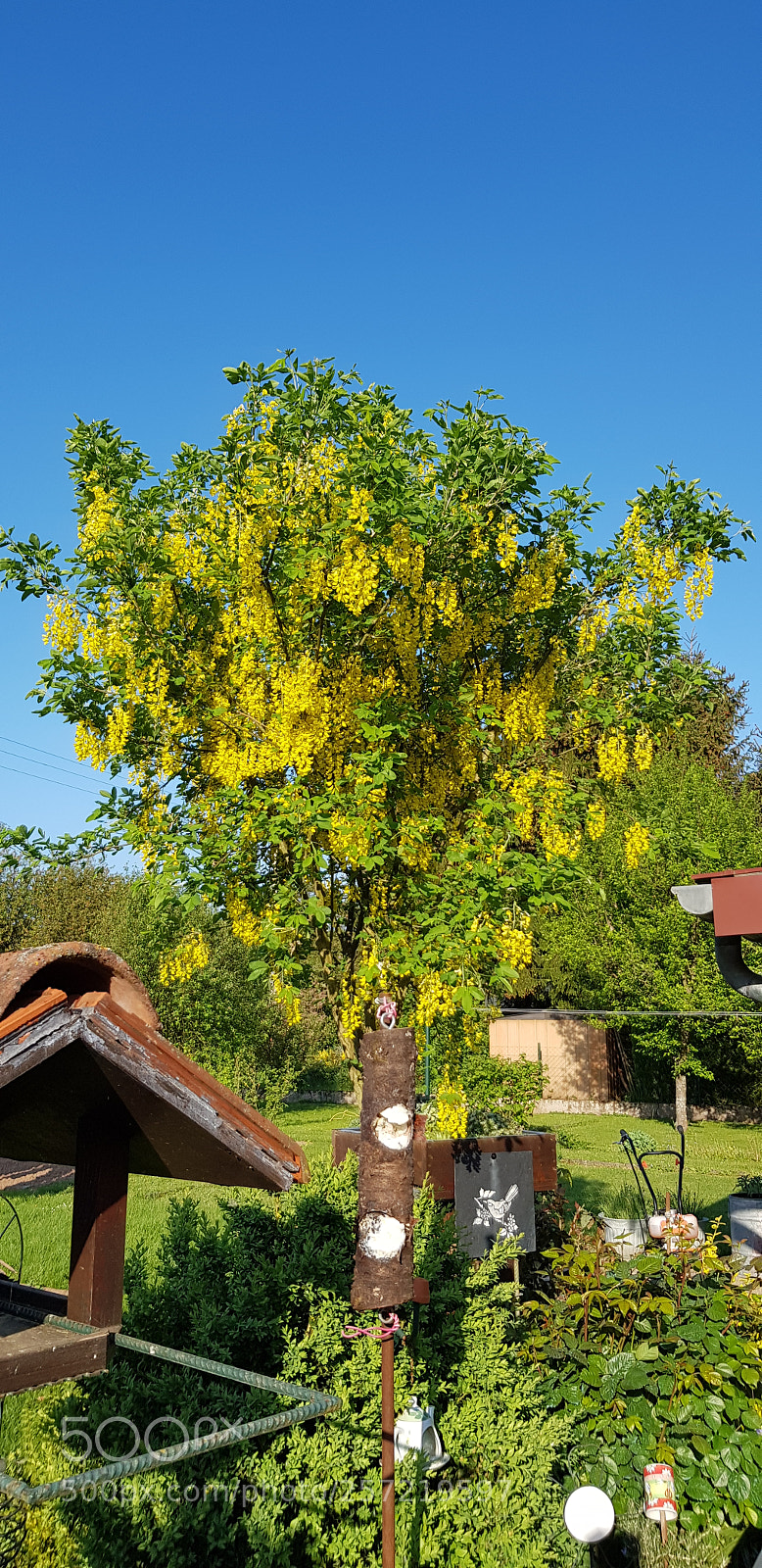 Samsung Galaxy S8 sample photo. Untitled photography